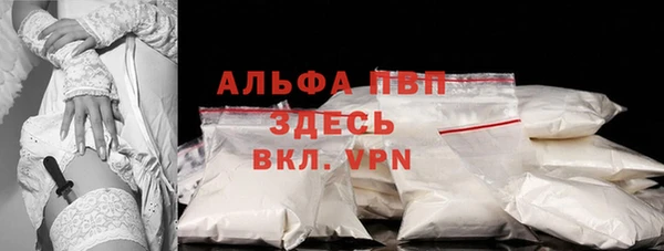 стаф Алексин