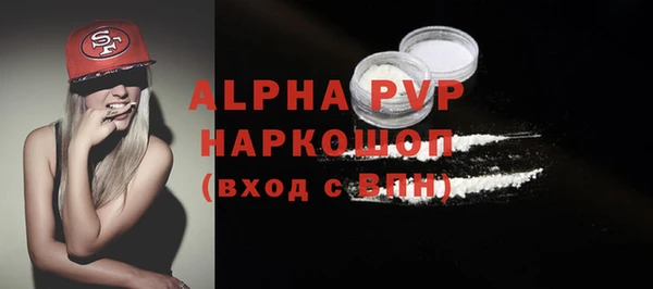 твердый Протвино