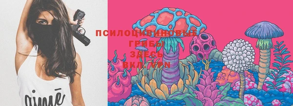 МДМА Приозерск