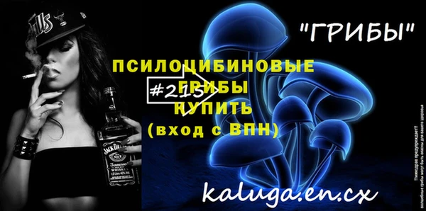 твердый Протвино