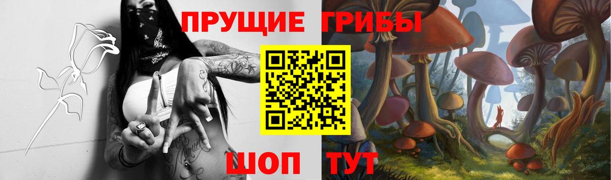 Галлюциногенные грибы мицелий  Вход с VPN  Сорочинск 